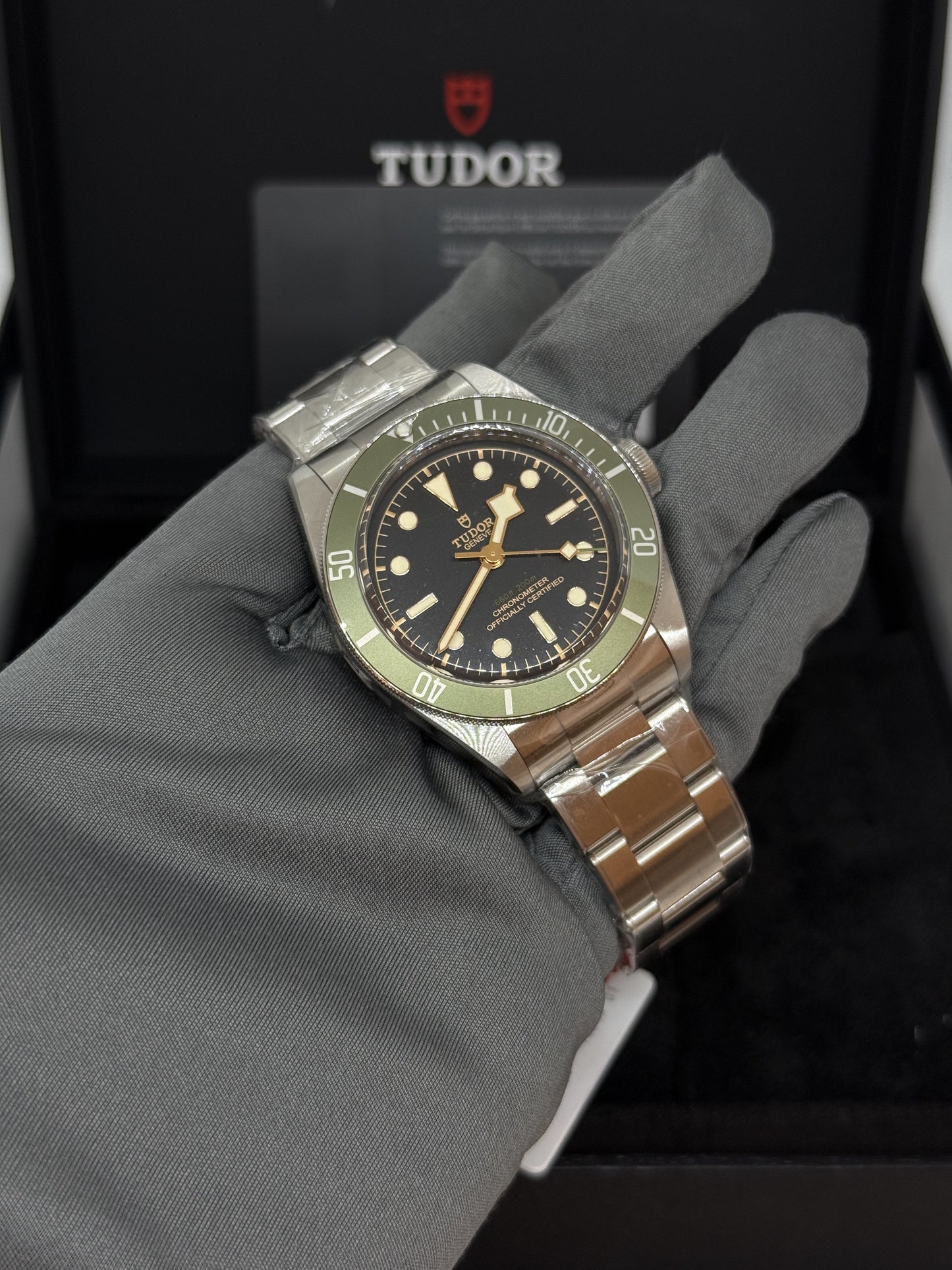TUDOR BLACK BAY HARRODS 79230G ANNO 2024