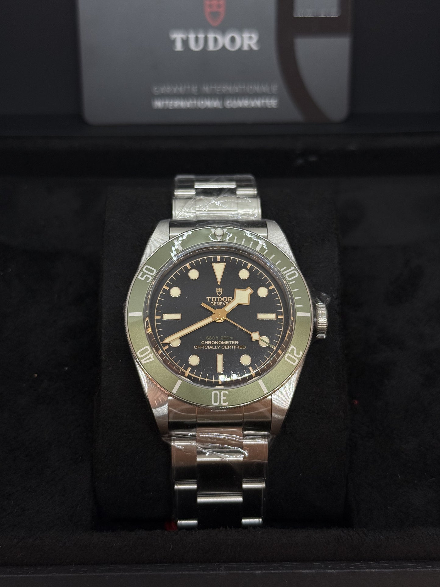 TUDOR BLACK BAY HARRODS 79230G ANNO 2024